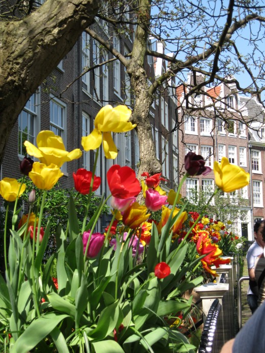 Amsterdam Property Listing