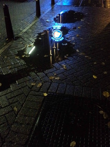 The Amsterdam Bulldog neon sign reflected in the water